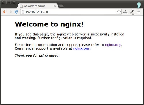 Integrar Nginx en su servidor cPanel / WHM – Engintron